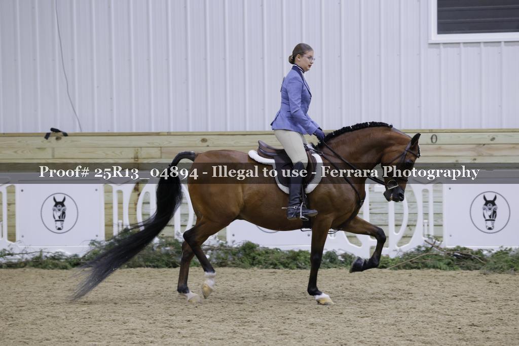 Proof Number 25R13_04894
