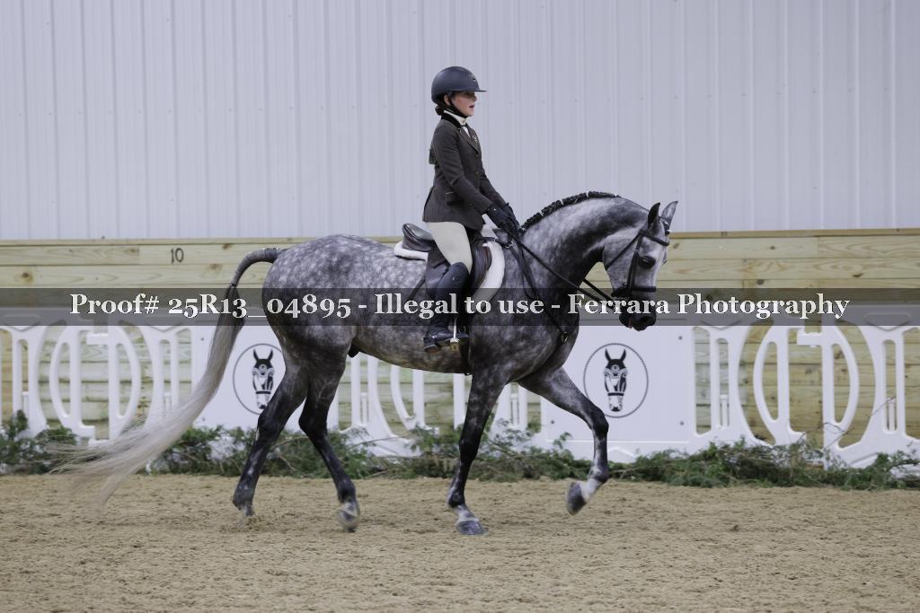 Proof Number 25R13_04895