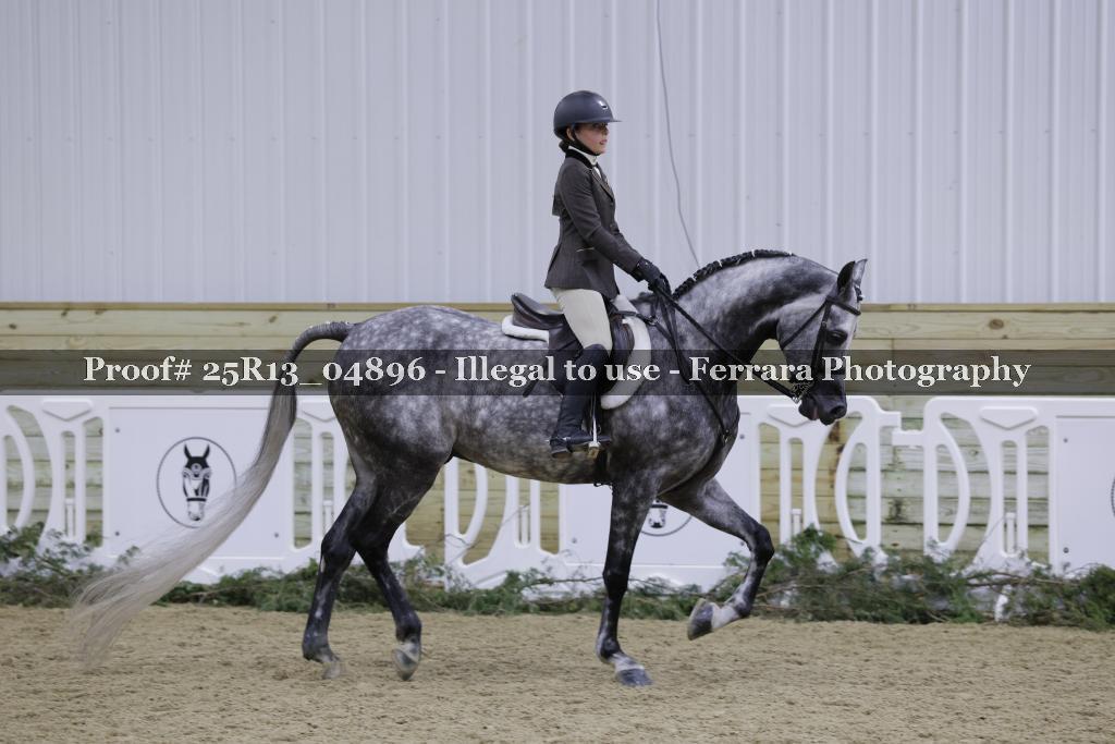 Proof Number 25R13_04896