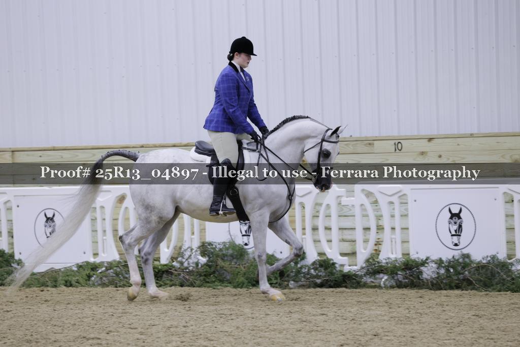 Proof Number 25R13_04897