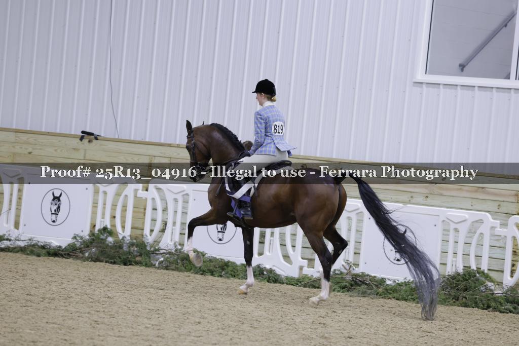 Proof Number 25R13_04916