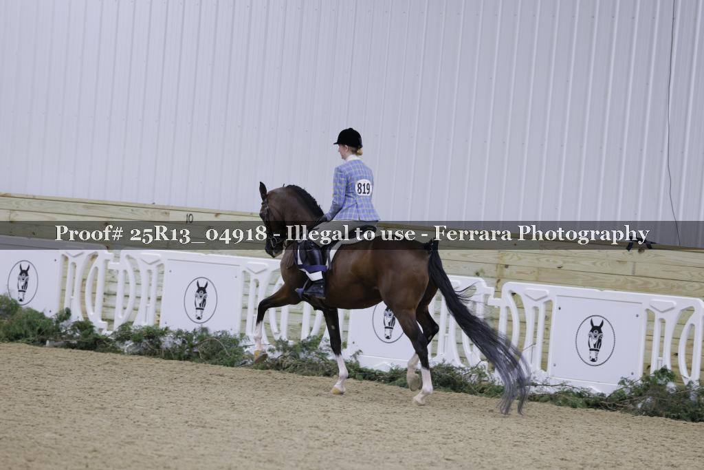 Proof Number 25R13_04918