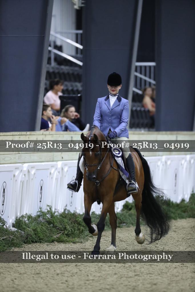 Proof Number 25R13_04919