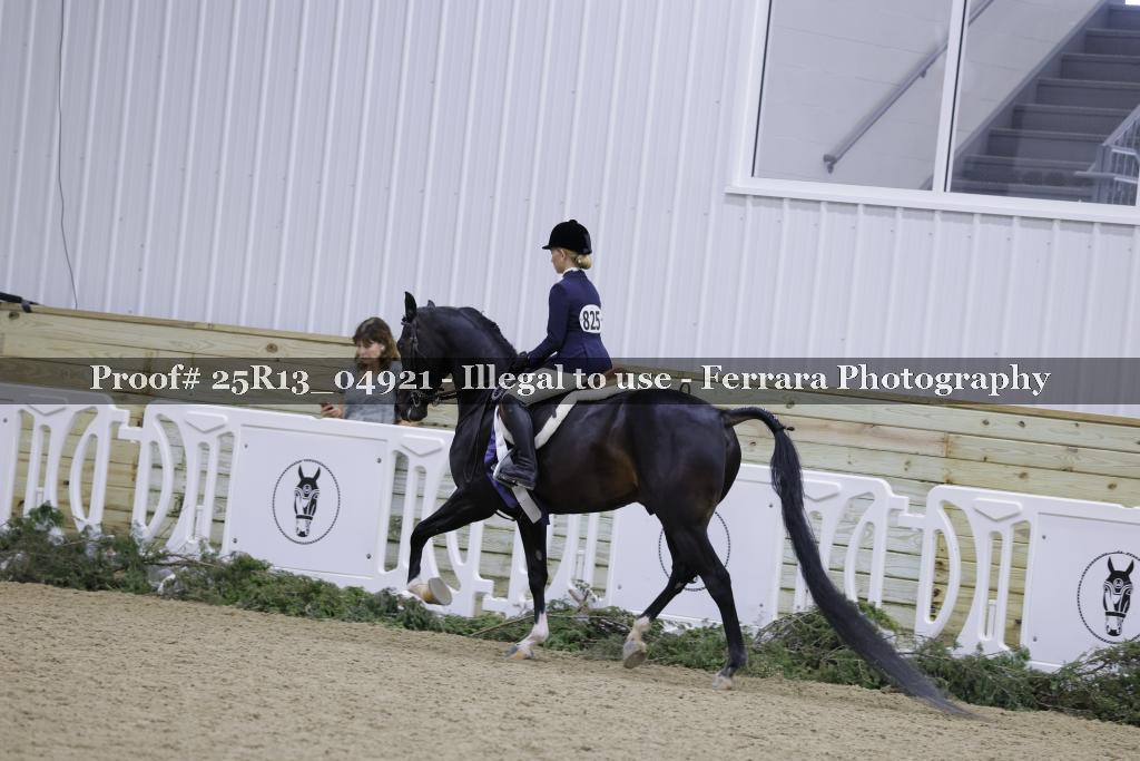 Proof Number 25R13_04921