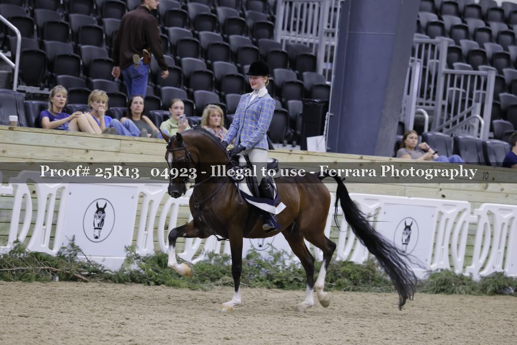 Proof Number 25R13_04923