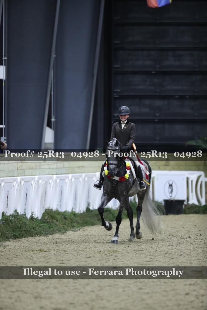 Proof Number 25R13_04928