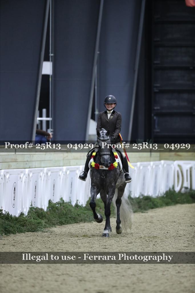 Proof Number 25R13_04929