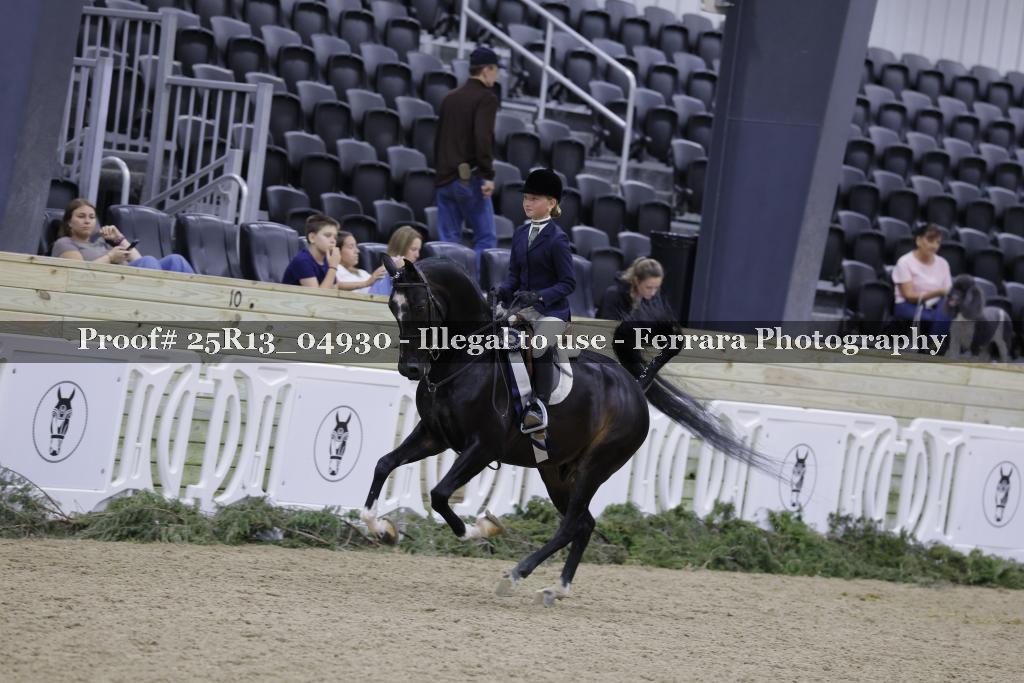 Proof Number 25R13_04930