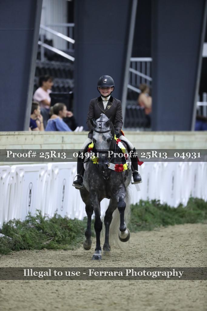 Proof Number 25R13_04931