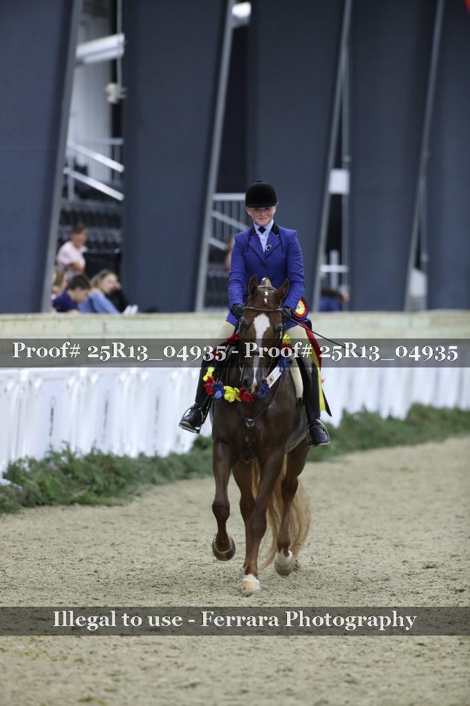 Proof Number 25R13_04935