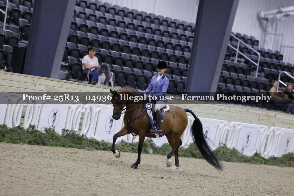 Proof Number 25R13_04936