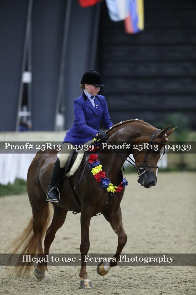 Proof Number 25R13_04939
