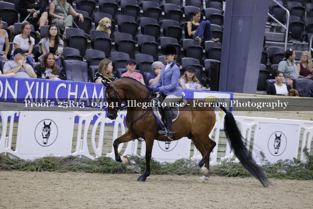 Proof Number 25R13_04941