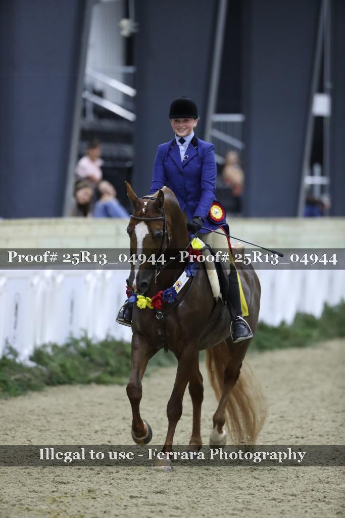 Proof Number 25R13_04944
