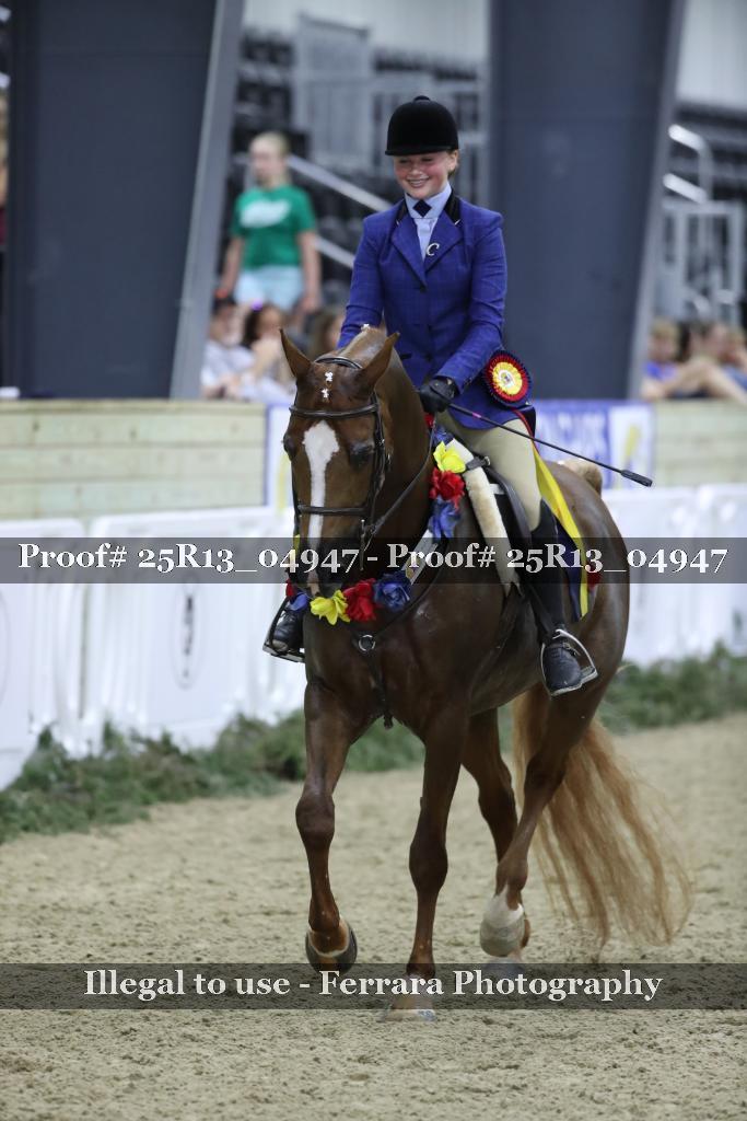 Proof Number 25R13_04947