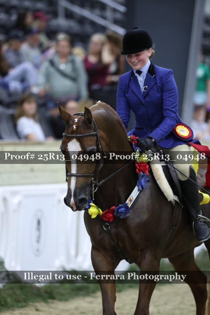 Proof Number 25R13_04948