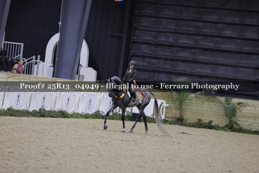 Proof Number 25R13_04949