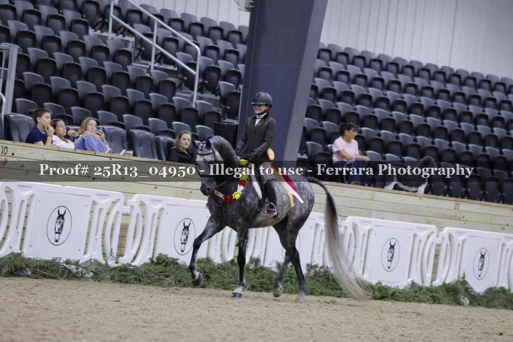 Proof Number 25R13_04950