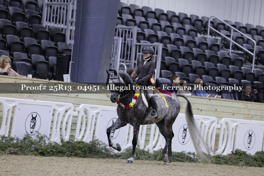 Proof Number 25R13_04951