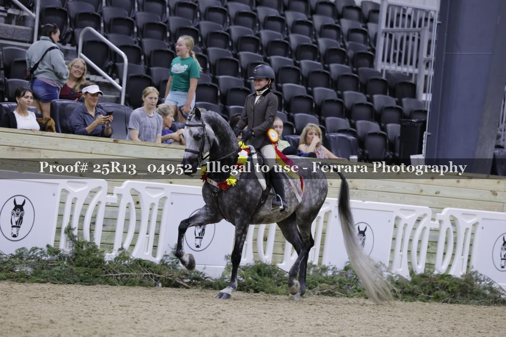 Proof Number 25R13_04952