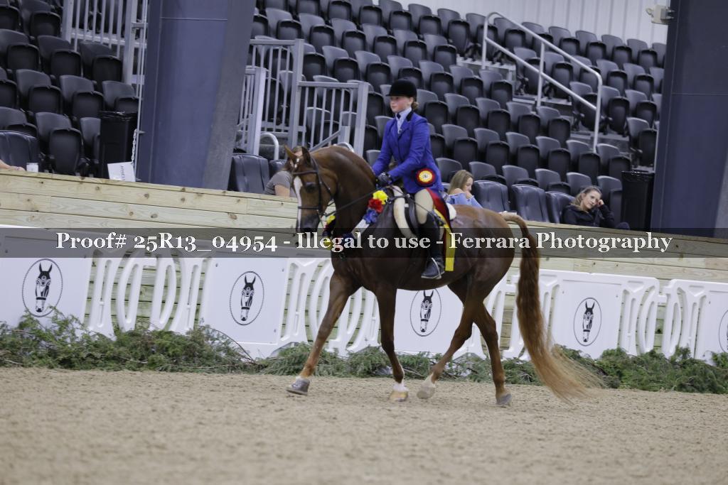Proof Number 25R13_04954