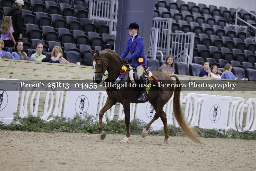 Proof Number 25R13_04955