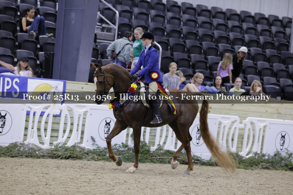 Proof Number 25R13_04956