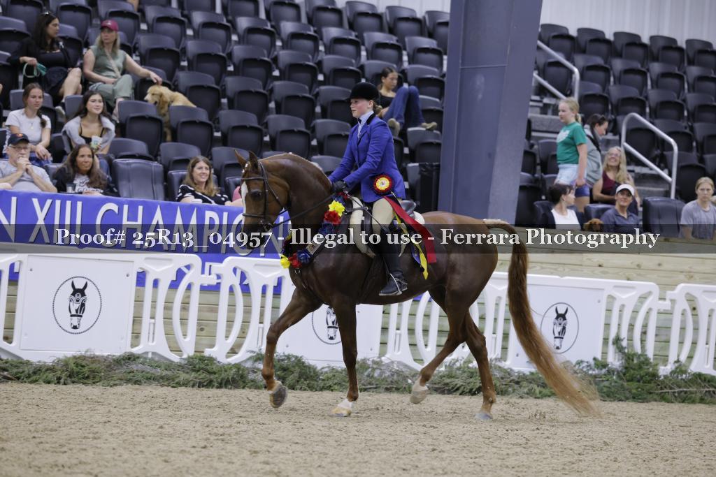 Proof Number 25R13_04957