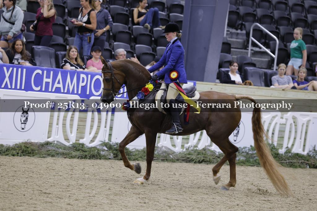 Proof Number 25R13_04960