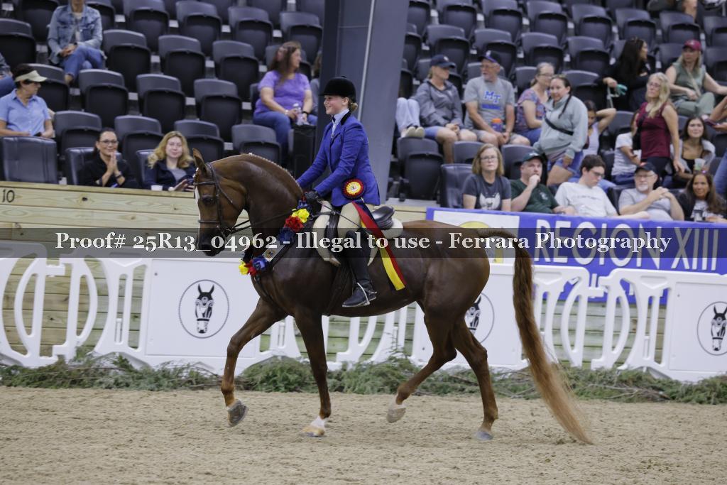 Proof Number 25R13_04962