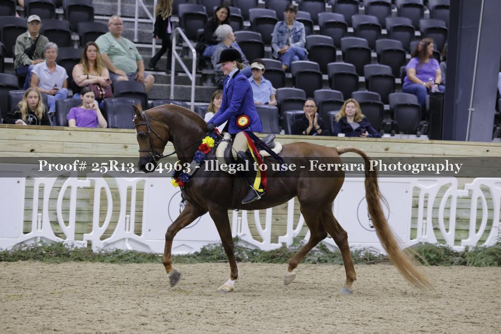 Proof Number 25R13_04963