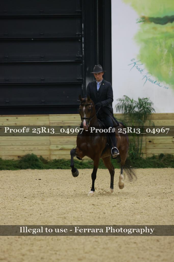Proof Number 25R13_04967