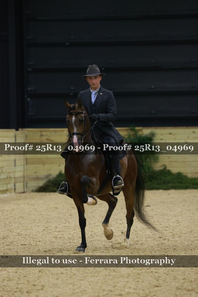 Proof Number 25R13_04969