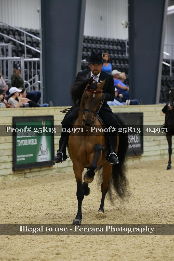 Proof Number 25R13_04971