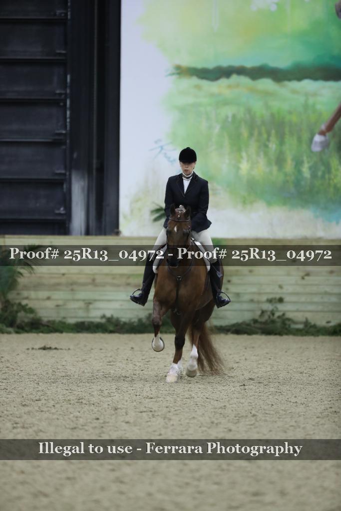 Proof Number 25R13_04972
