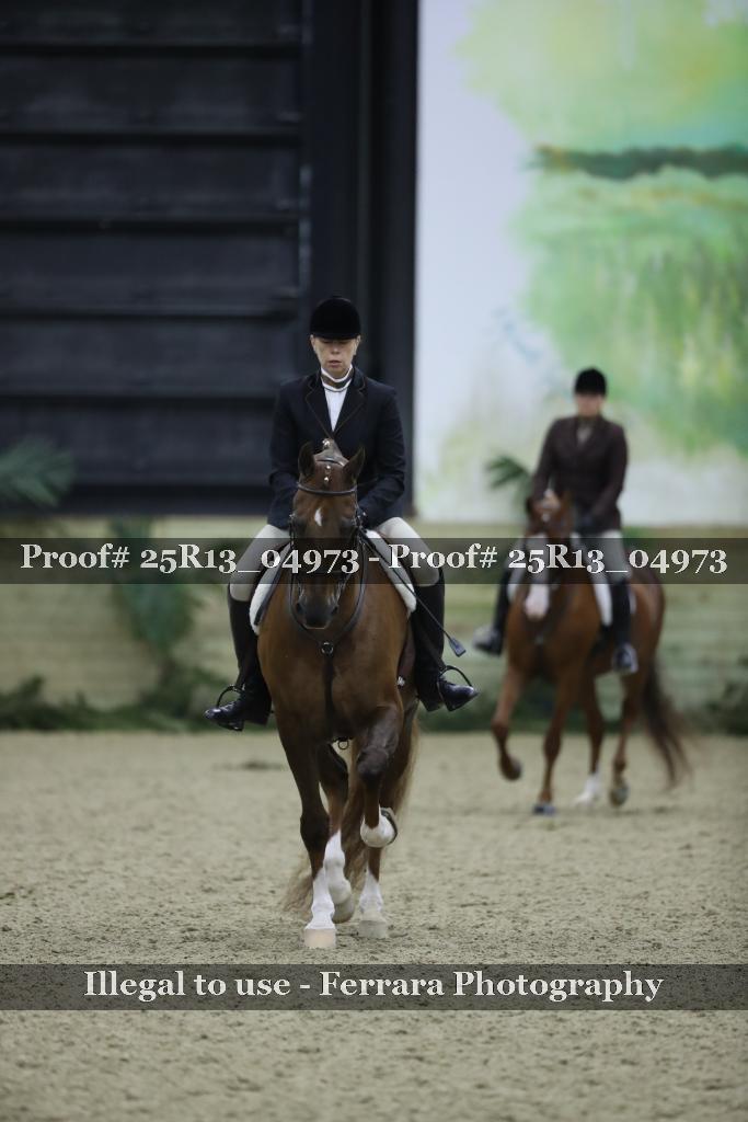 Proof Number 25R13_04973