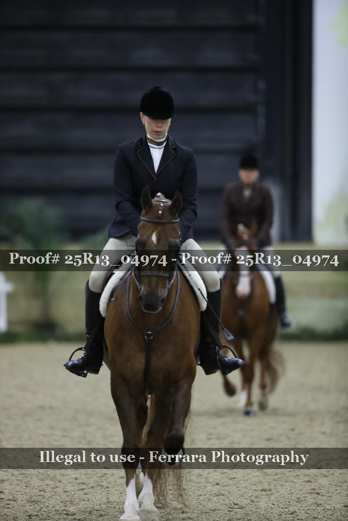 Proof Number 25R13_04974