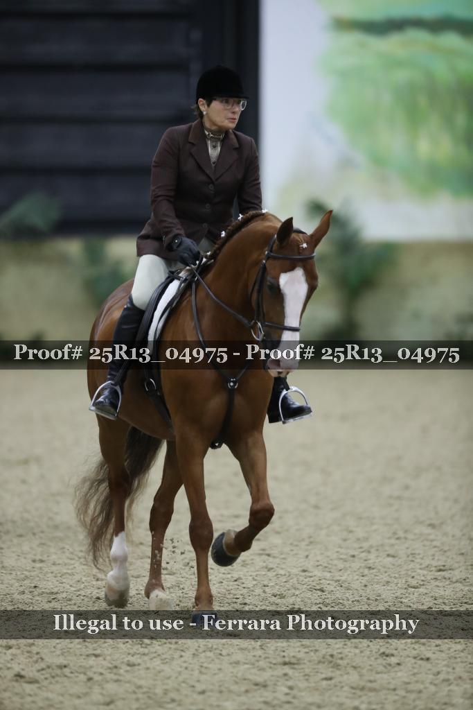 Proof Number 25R13_04975