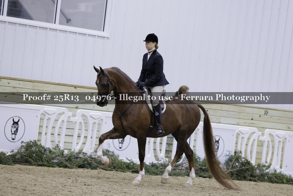 Proof Number 25R13_04976