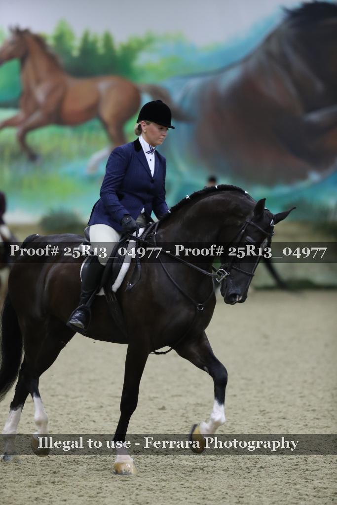 Proof Number 25R13_04977
