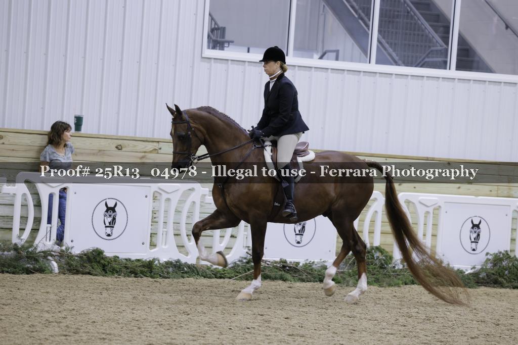 Proof Number 25R13_04978