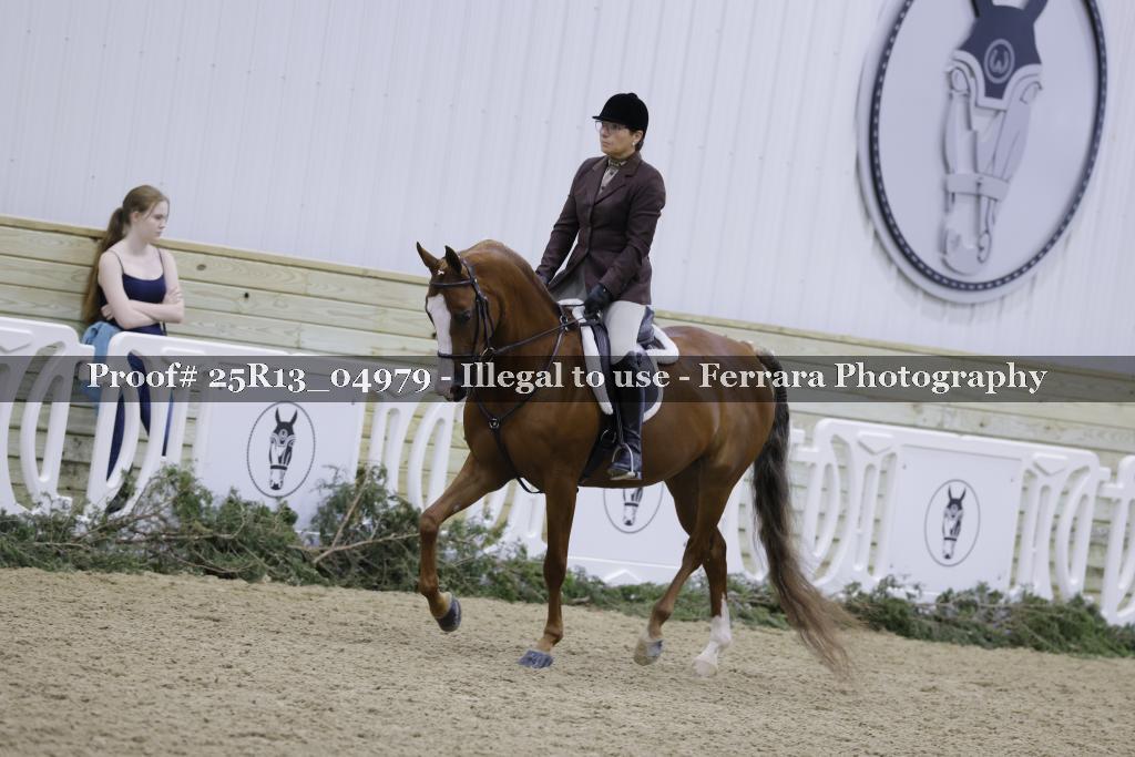 Proof Number 25R13_04979