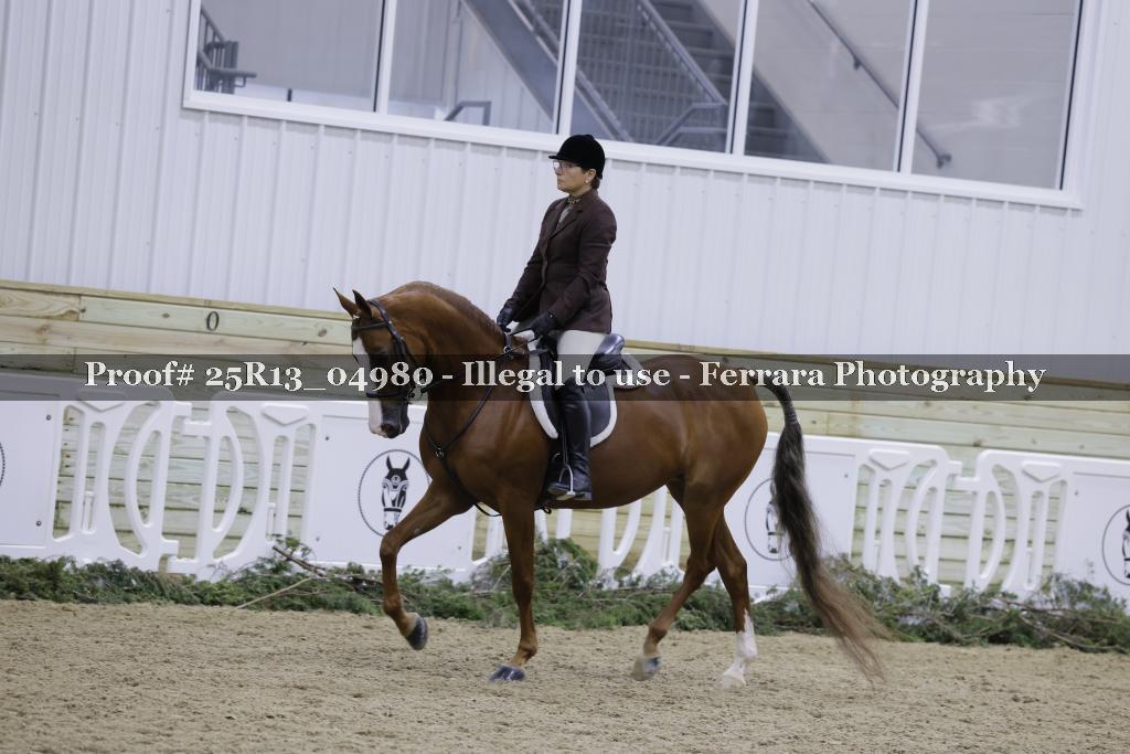 Proof Number 25R13_04980