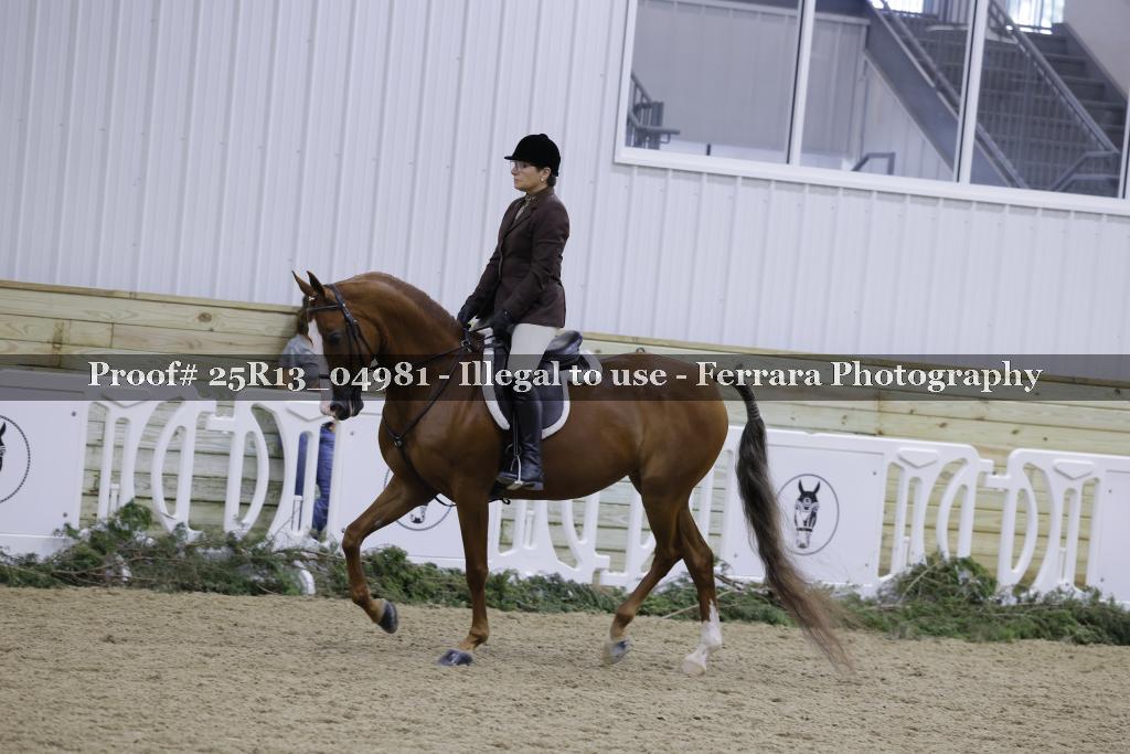 Proof Number 25R13_04981
