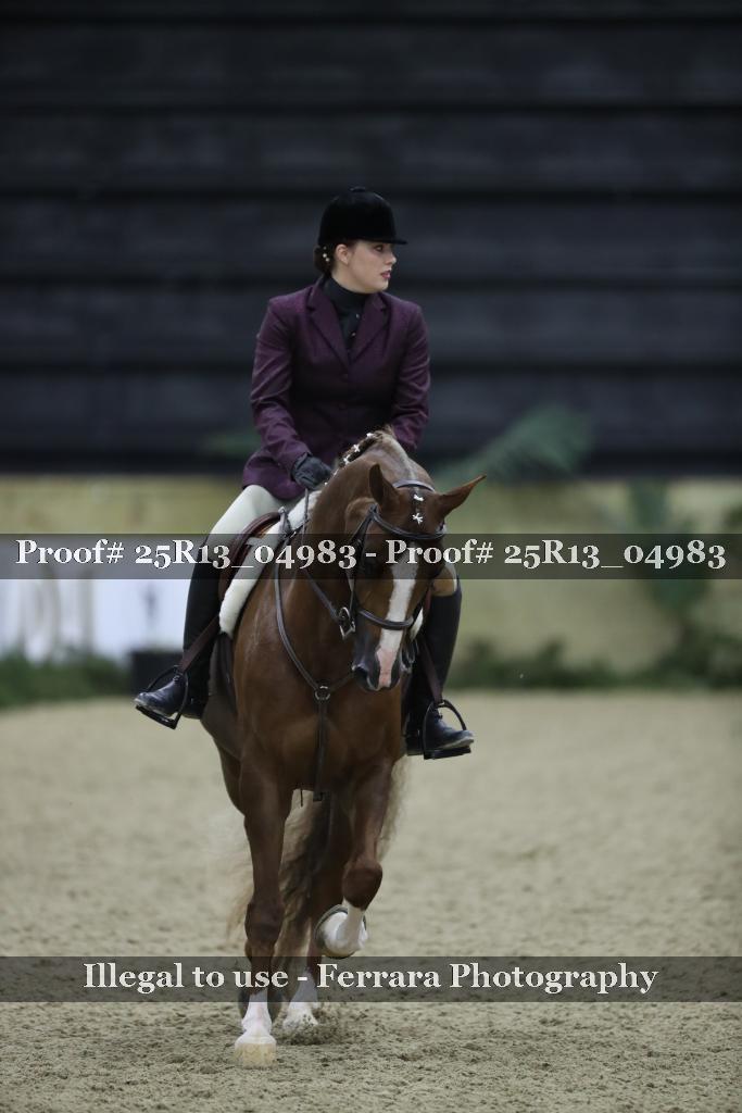 Proof Number 25R13_04983