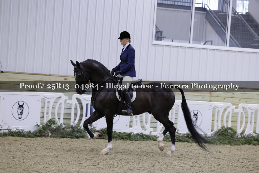 Proof Number 25R13_04984