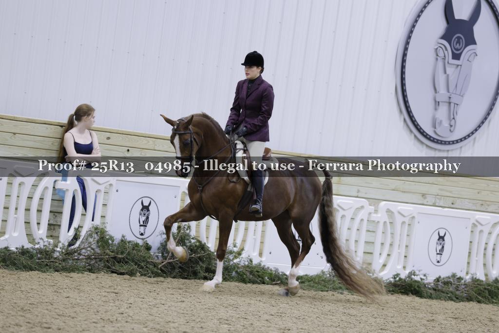 Proof Number 25R13_04985