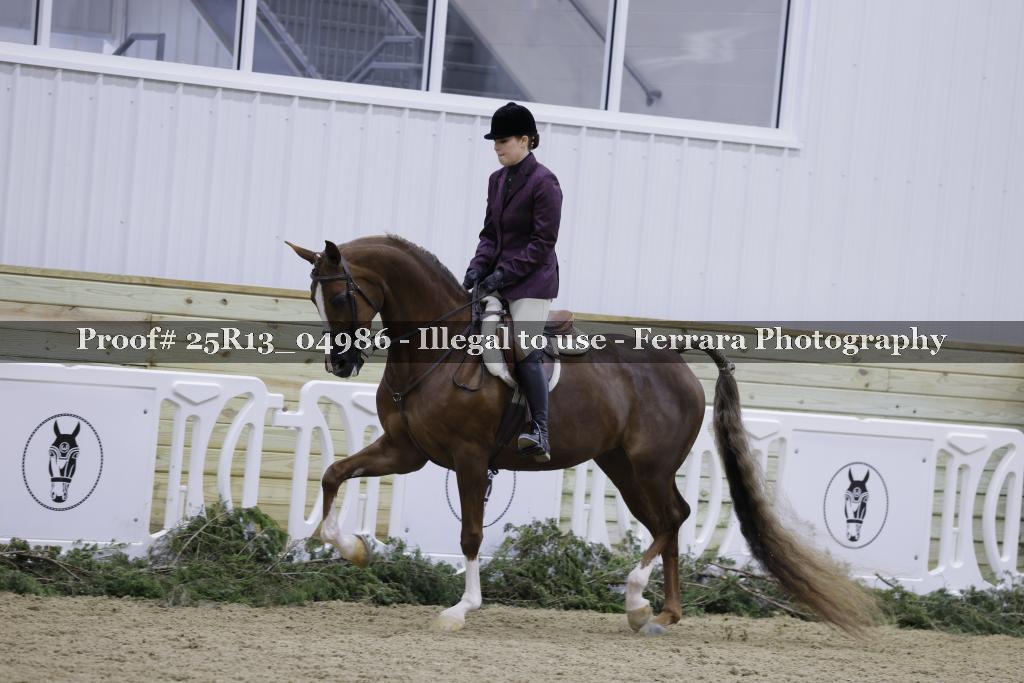 Proof Number 25R13_04986