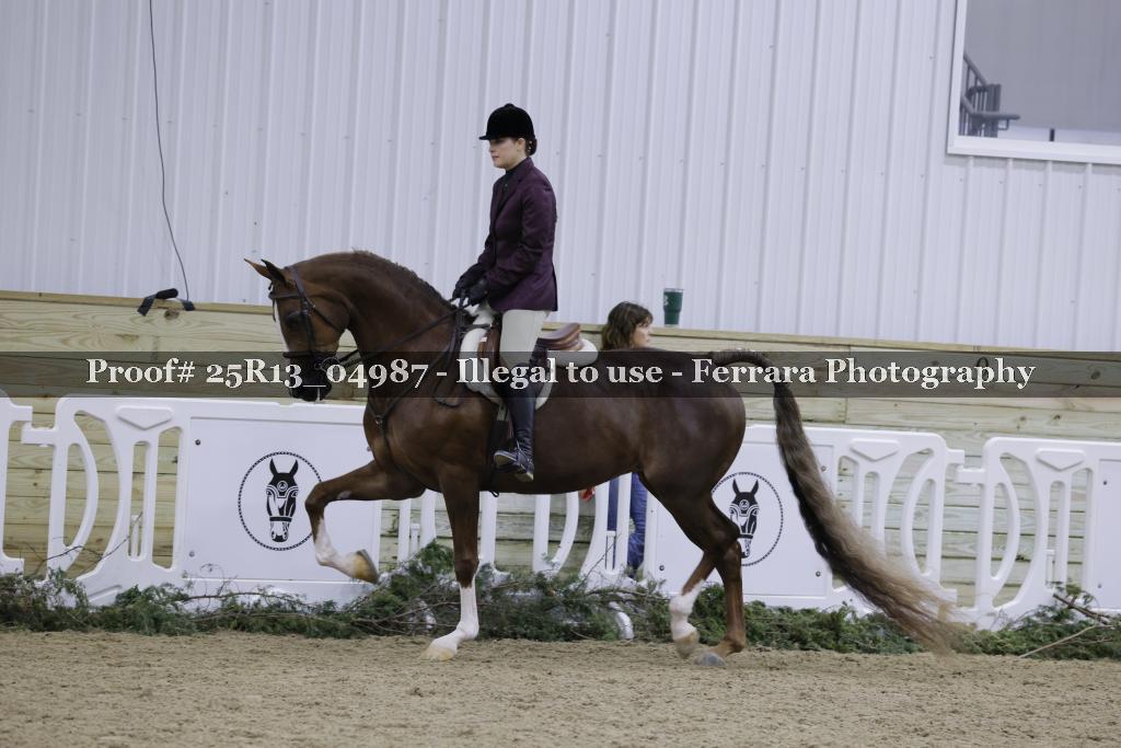 Proof Number 25R13_04987