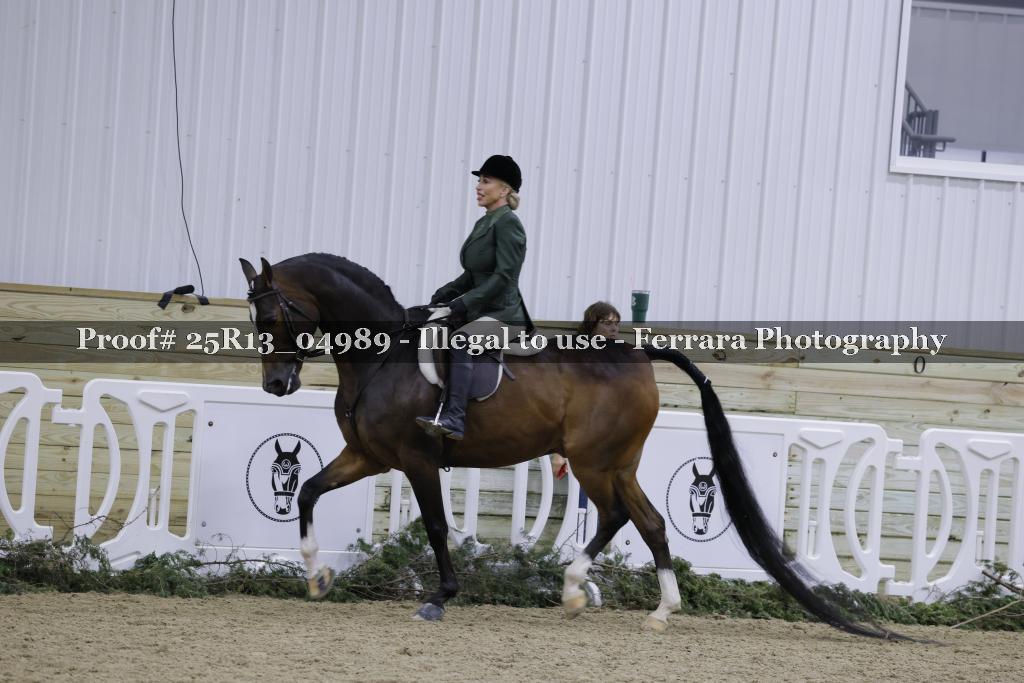 Proof Number 25R13_04989